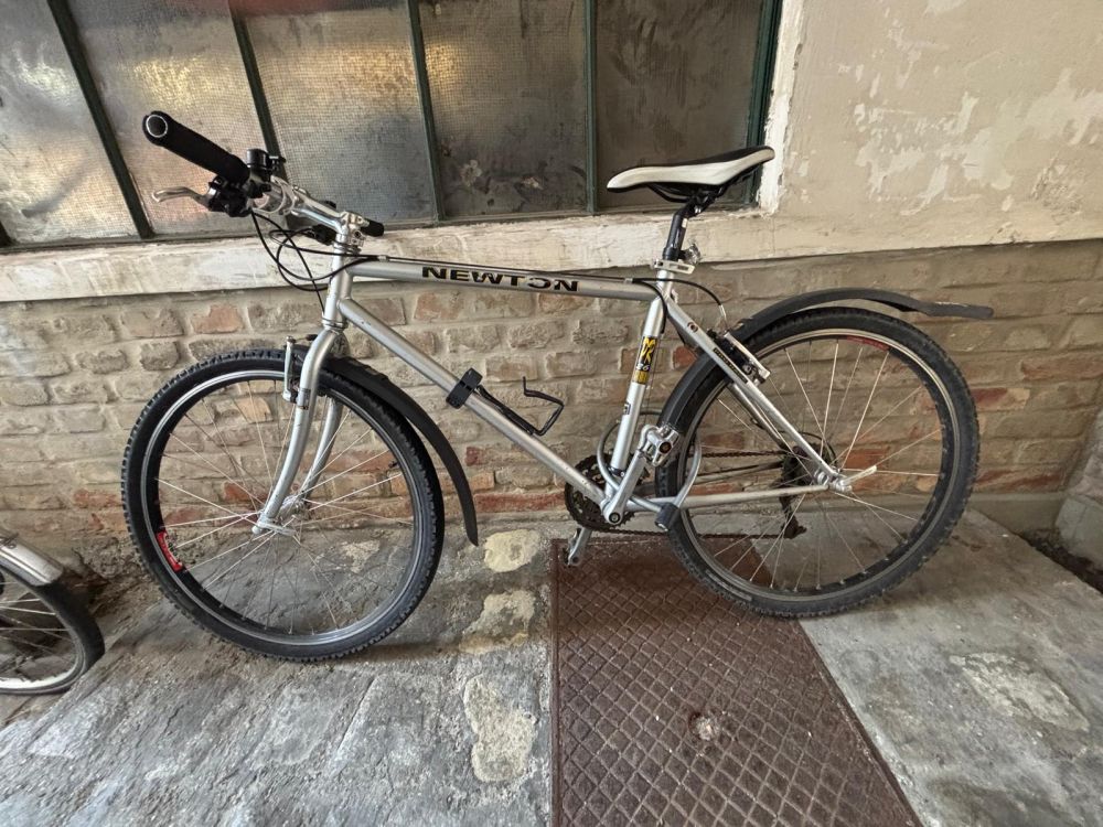 Kinder/Teenager Fahrrad Newton