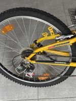 Produktbild 3 von Mountec Power Cycles 2000