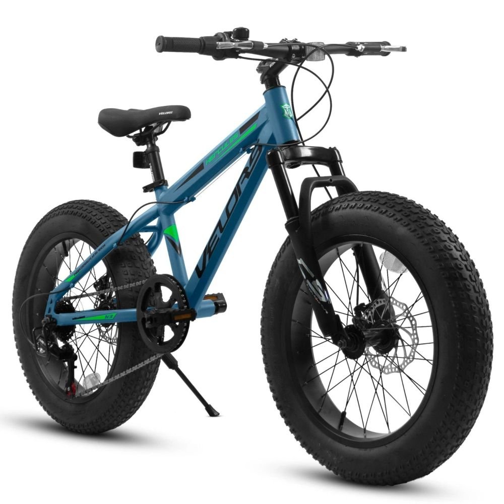 20 Inch Fat Tire Bike Adult 7 Speed Mountain Bike, Dual Disc Brakes, Steel Frame