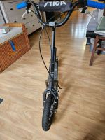 Produktbild 2 von  Stiga Roller