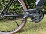 Produktbild 11 von e bike Cruiser Riese und Müller checkheftgepflegt, guter Akkuzustand - Abholung oder Versand