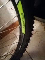 Produktbild 8 von E-Bike 