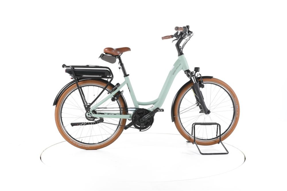 Riese & Müller Swing Silent City E-Bike Tiefeinsteiger