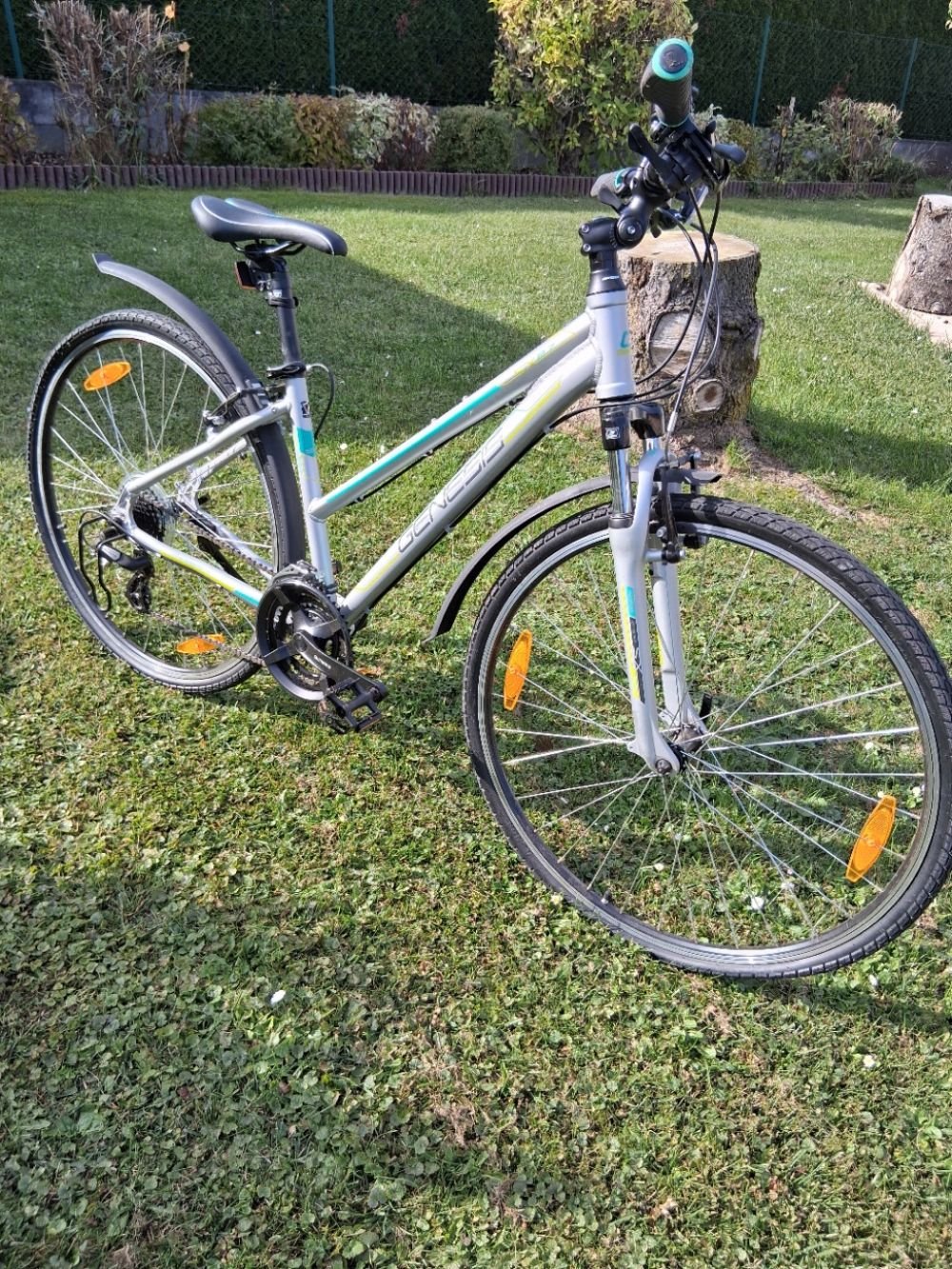 Damenfahrrad GENESIS SPEED GROSS