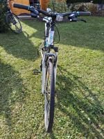 Produktbild 2 von Damenfahrrad GENESIS SPEED GROSS