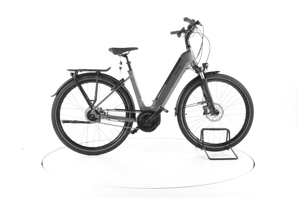 Raleigh Bristol XXL City E-Bike Tiefeinsteiger