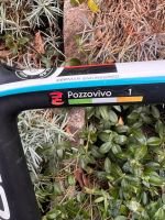 Produktbild 1 von Rennrad