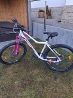 Produktbild 1 von KTM Damen Mountainbike Peak Disc Lady