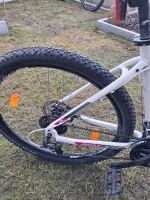 Produktbild 3 von KTM Damen Mountainbike Peak Disc Lady
