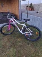 Produktbild 4 von KTM Damen Mountainbike Peak Disc Lady