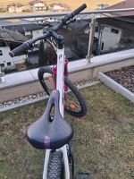 Produktbild 7 von KTM Damen Mountainbike Peak Disc Lady