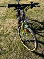 Produktbild 4 von KTM Happy Country Trekkingbike