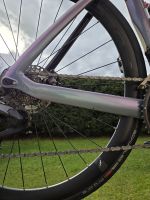 Produktbild 2 von Bianchi Aria Rennrad – Speziallackierung „Summertime“ – Top Zustand