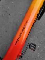 Produktbild 5 von 2020 Trek Procaliber 9.6