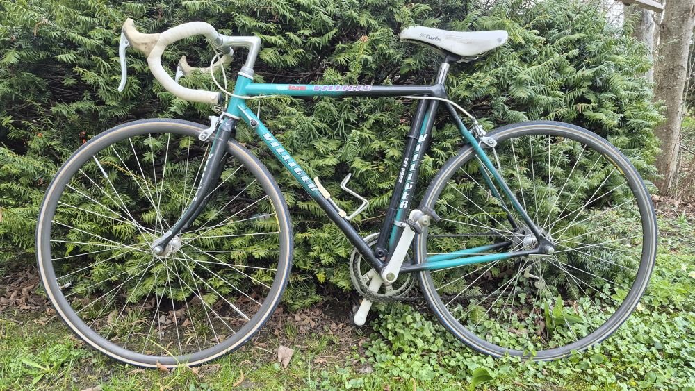 Villiger (Modell "Team Villiger"), Retro Tour d'Alba, Fahrrad, Rennrad