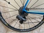 Produktbild 16 von TREK Madone 6 series