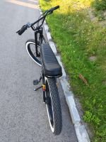 Produktbild 4 von RUFF Cycles Biggie / EBIKE / Cruiser / Bosch Active Line 4th Gen