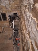 Produktbild 2 von Citybike Elise 28 + Helm