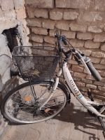 Produktbild 4 von Citybike Elise 28 + Helm