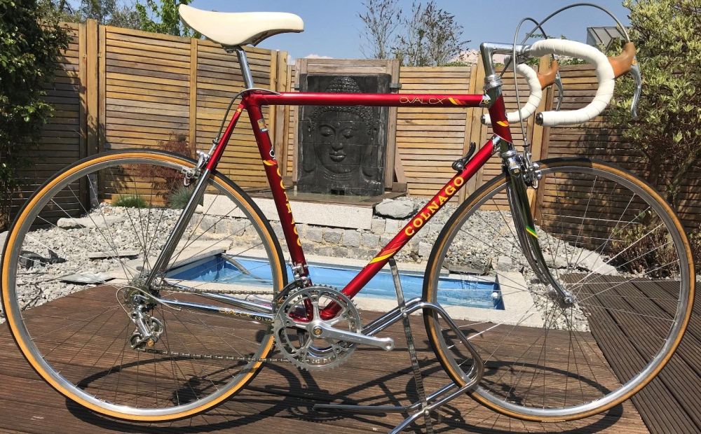 Colnago Oval CX Campognolo 50th Edition Rennrad  