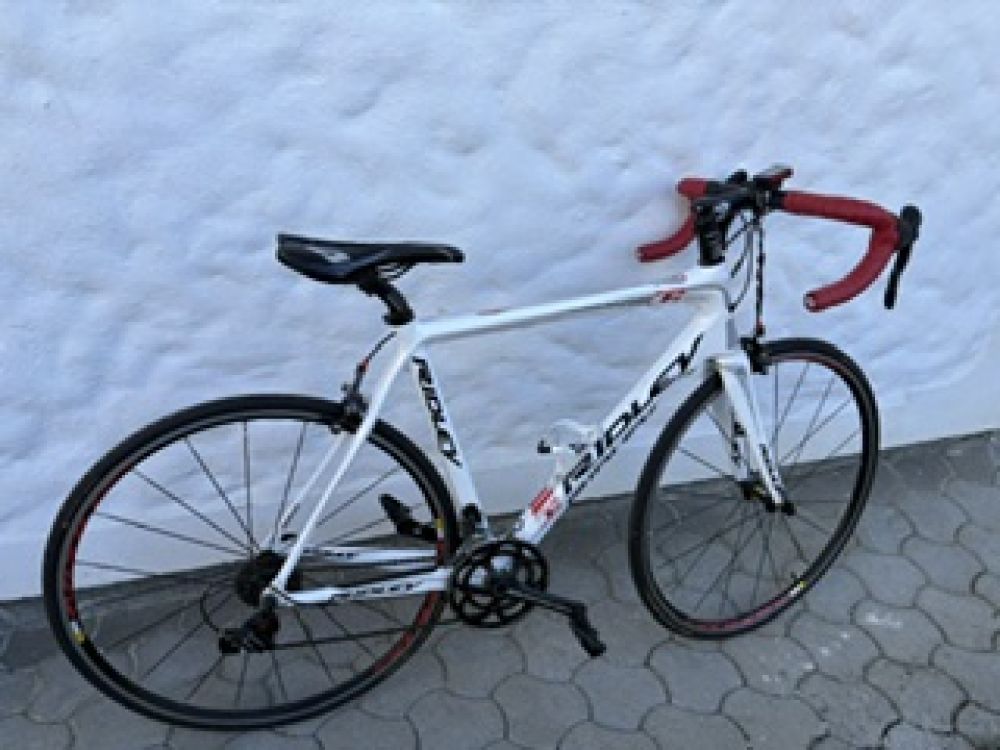 Rennrad Ridley Fenix/Team.