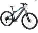 Produktbild 1 von E-MTB 29" F. lli Schiano E-Mercury | 720Wh XL-Akku | NEUE Maxxis Reifen | Service NEU