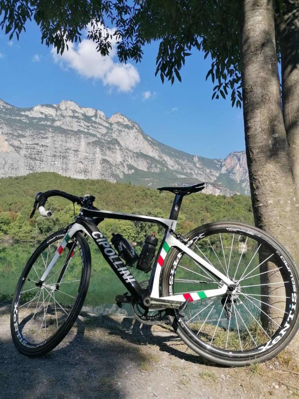 Cipollini NK1K Rennrad XS