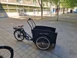 Produktbild 7 von E-Cargo Lastenrad Cargo Bike Kinder Hund Transporter Lastenfahrrad Dreirad E-Bike Elektro Rad