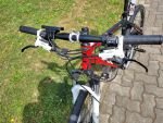 Produktbild 2 von E-Bike FOCUS JARIFA
