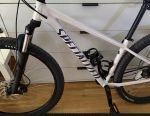 Produktbild 2 von MTB Mountainbike Specialized Birch Taupe Rockhopper M creme beige weiß weiss