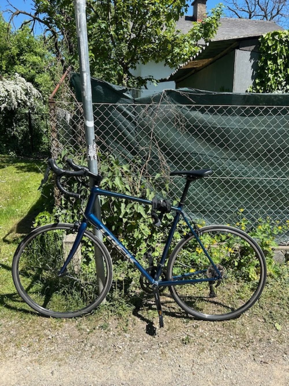 Trek Domane Al 2 größe 62