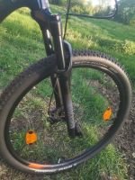 Produktbild 4 von **Neuer Preis** MTB Hardtail KTM Myroon Pro Carbon Größe L