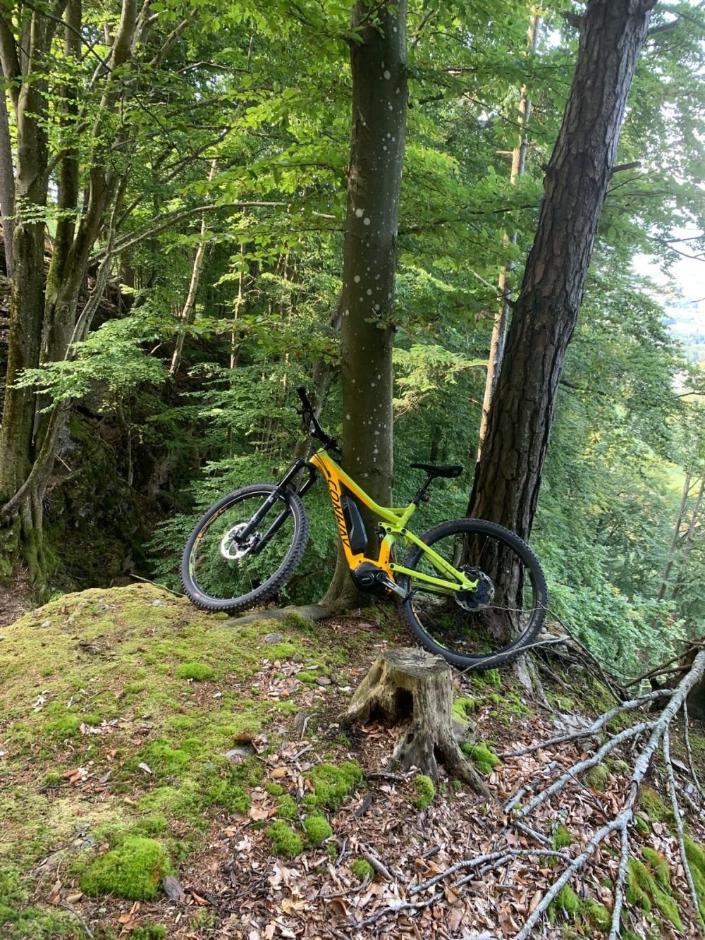 e-bike fully Conway