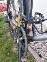 Produktbild 11 von Herrenfahrrad Puch Butterfly pro