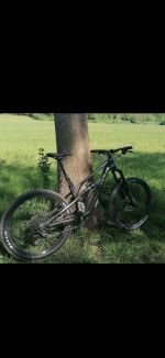 Produktbild 3 von Canyon Spectral 