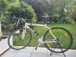 Produktbild 2 von Herrn SCOTT-Rennrad