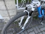 Produktbild 5 von Corratec Superbow 45, 54cm  Bosch Performance Line
