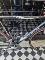 Produktbild 5 von RedBull Rennrad 