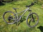 Produktbild 1 von Cannondale Trail Women's 5 Mountainbike 29 Zoll
