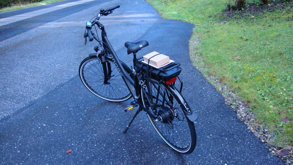 Damen E-Bike