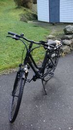 Produktbild 4 von Damen E-Bike