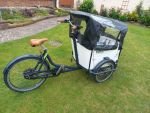 Produktbild 1 von Elektro-Lastenrad Babboe Curve Mountain (2022)