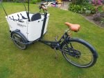 Produktbild 5 von Elektro-Lastenrad Babboe Curve Mountain (2022)