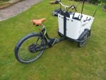 Produktbild 8 von Elektro-Lastenrad Babboe Curve Mountain (2022)