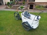Produktbild 15 von Elektro-Lastenrad Babboe Curve Mountain (2022)