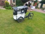 Produktbild 17 von Elektro-Lastenrad Babboe Curve Mountain (2022)