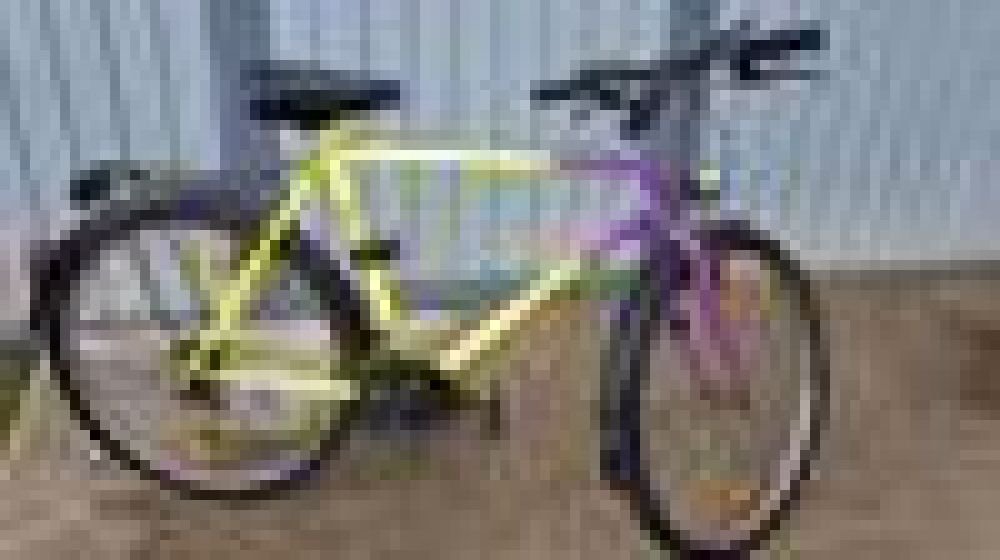 Herrencitybike