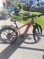 Produktbild 1 von nox trekking bike 650 w 