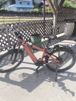 Produktbild 2 von nox trekking bike 650 w 