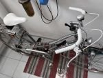 Produktbild 2 von Taifun sportliches Damenrad